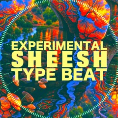 SHEESH | Experimental Type Beat