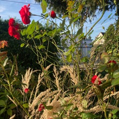 Spaziergang