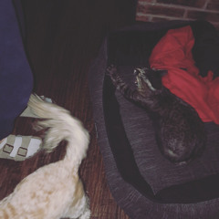 Alter (co-prod. by joziah) - Instrumental Beat