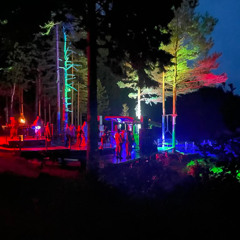 Safari into the blue 27/6-25