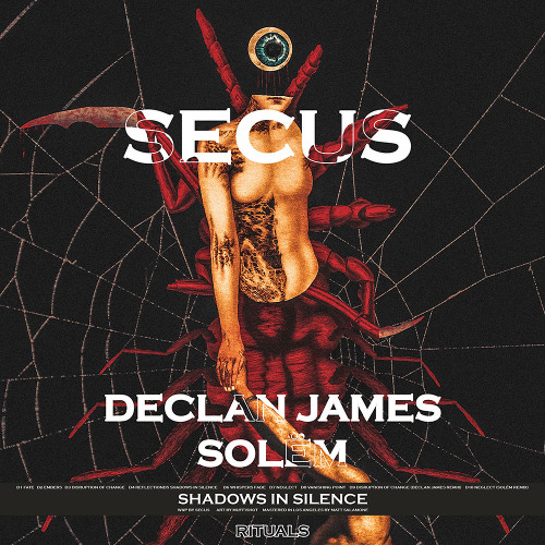 SYN Premiere: Secus - Disruption of Change (Declan James Remix) [RITUALS004]