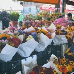 universe - thuy (cover)