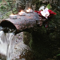 C'est un jardin secret, ma soeur, ma fiancée, une fontaine close... - Tristan Murail