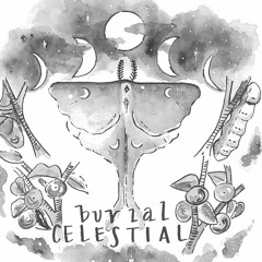 Signal Box and Lost in a State (feat. Pia) - Burial Celestial