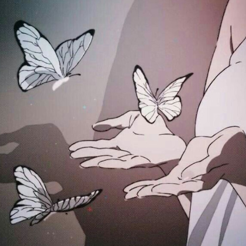 butterflies