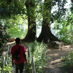 EntreFigueroa- Valley Of Death/New Chapter (SICKHAZE)