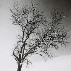 South Park - 149 Bpm