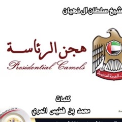 شيلة هجن الرئاسه