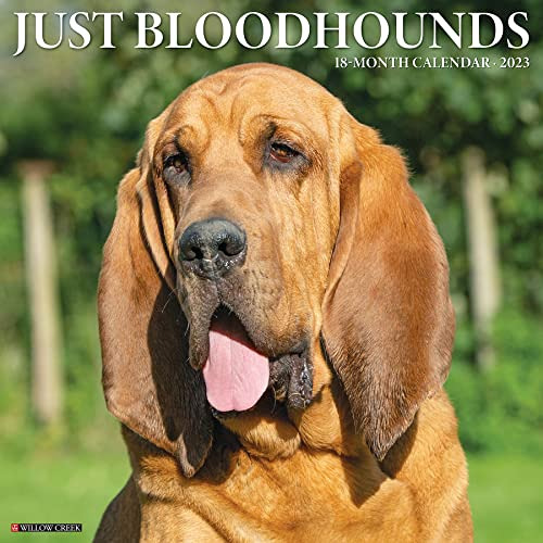 [GET] KINDLE 📧 Just Bloodhounds 2023 Wall Calendar by  Willow Creek Press [EPUB KIND