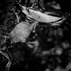 There is nothing meaningless