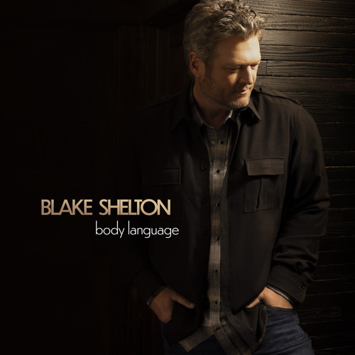Blake Shelton - The Flow