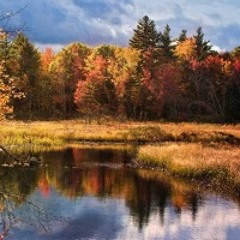 Allowing Your Right Action to Unfold