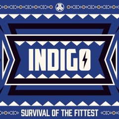 Defqon 2024 Indigo Warm-Up Mix