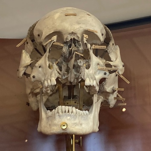 Real2Real - conversion