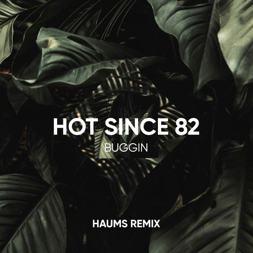 Hot Since 82 - Buggin' (HAUMS Remix)
