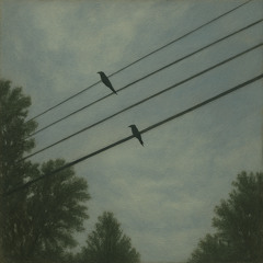 bird with no wings