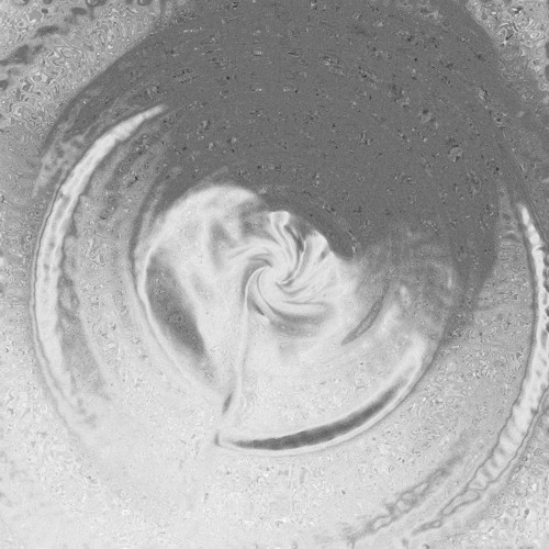 2025.1.17 Oracle vol.1 archive