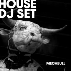 MECABULL | House DJ Set 2025.11.14