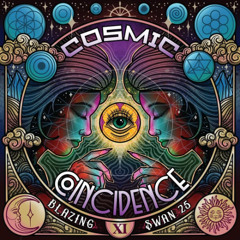 Chubbson - Psychedelic Disposition (Live DJ Set Blazing Swan Festival WA Australia)