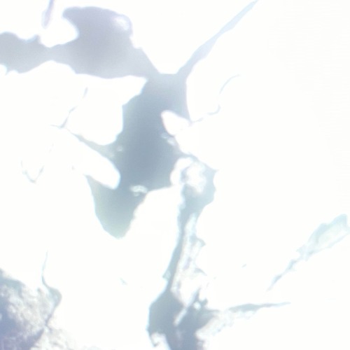 GUTTR