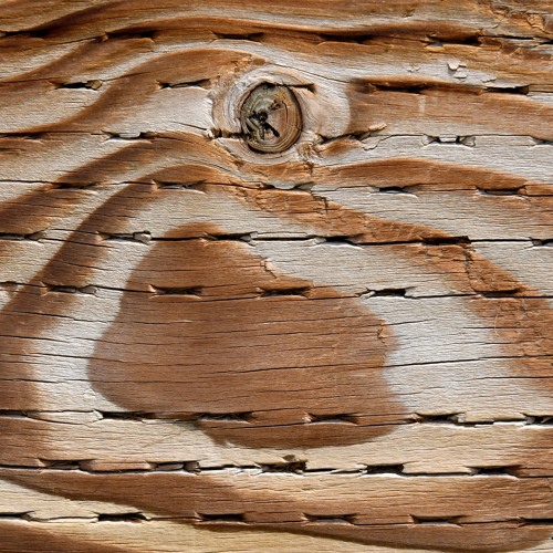 Stream episode 59 Pressure Treated Wood, Rot, and Dimensional Terms