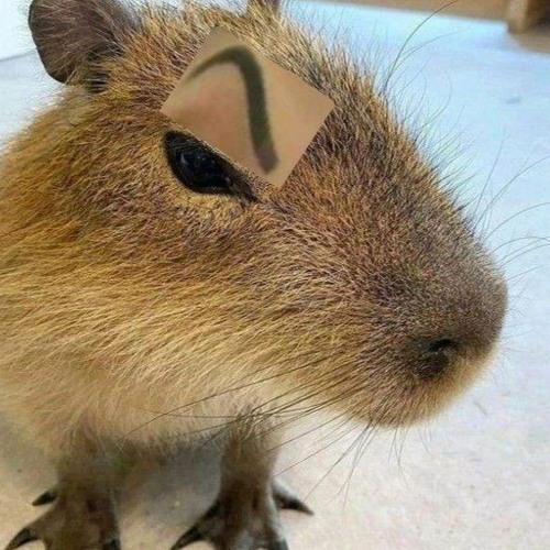 GẶP EM ĐÚNG LÚC - KII BOSS REMIX | NONSTOP TRUNG QUỐC MIXTAPE 2024