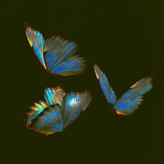 Sixzeros - Полночь