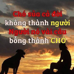 Báo Thủ Lagi - Young Que Lon x youngthienan