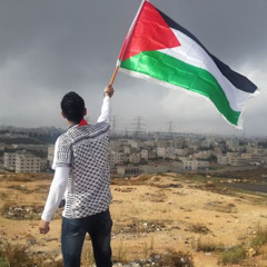 der sandmann - FREE PALESTINA 185 feat Mc Aaron and Mc sand
