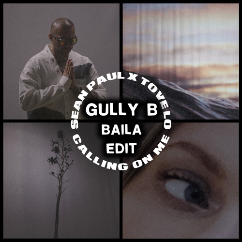 Sean Paul - Calling On Me feat. Tove Lo (Gully B 'Baila' Edit)