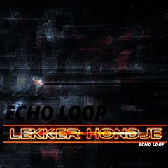 Lekker Hondje - Echo Loop //DnB, Neurofunk, Techstep