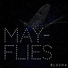 May - Flies (Live Tracked / Studio Processed Demo) BBC RADIO INTRODUCING