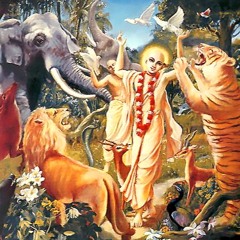 Gaura-lila/Игры Господа Чайтаньи