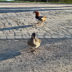 Love To Love You - demo.m4a