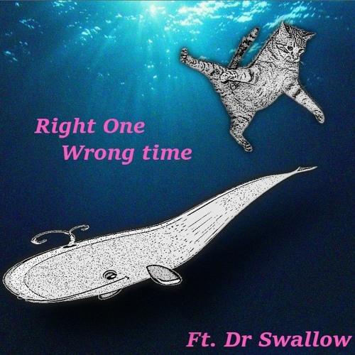 right one wrong time ft. dr swallow
