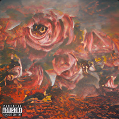 Lil Slide - Can't Go Wrong (Feat. A-Void)