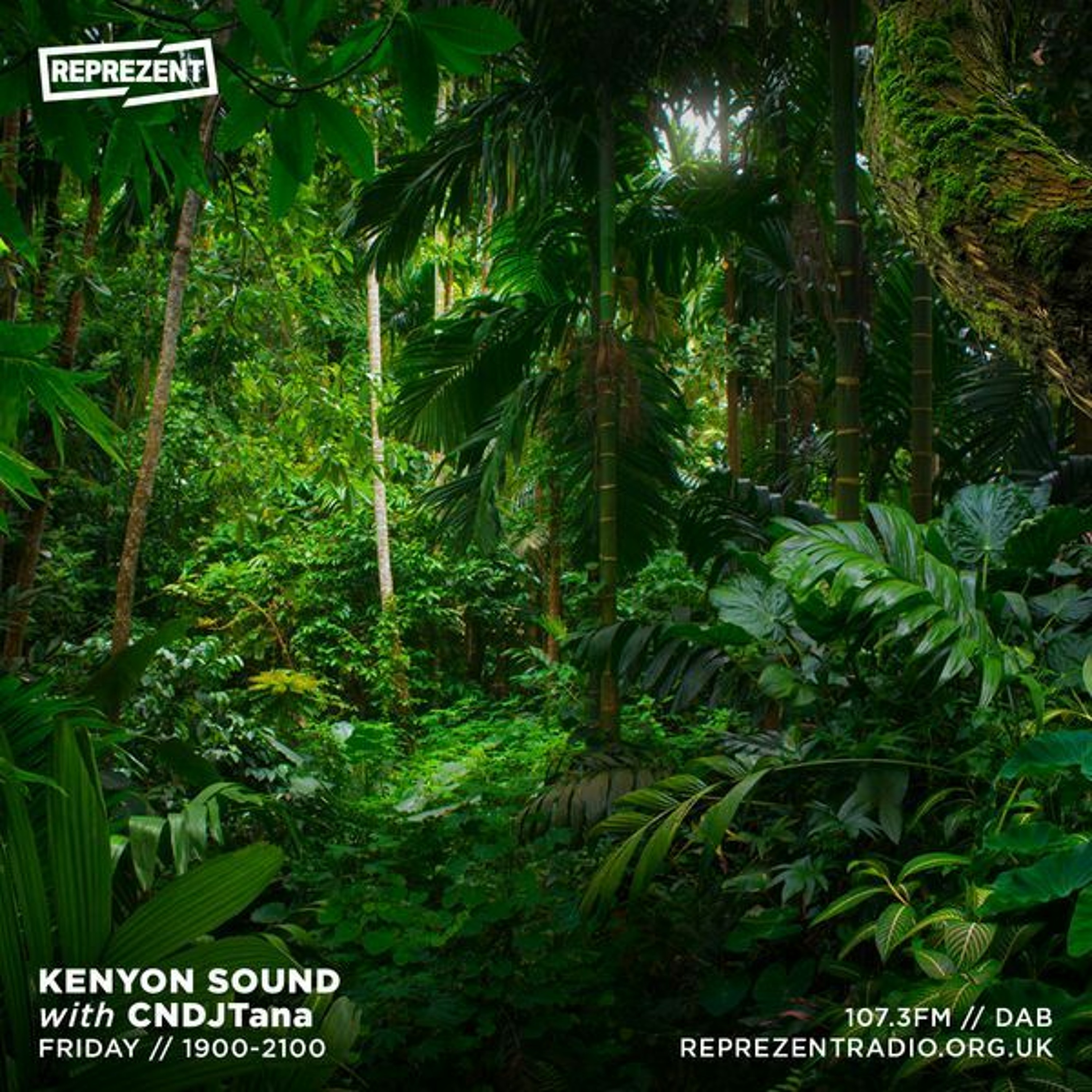 Kenyon Sound