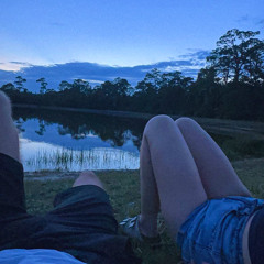 flowers n shit DEMO (2023)