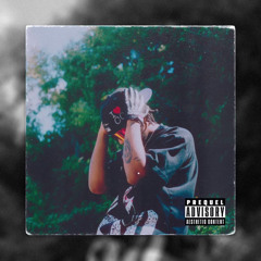 SGO Voss- Been told em