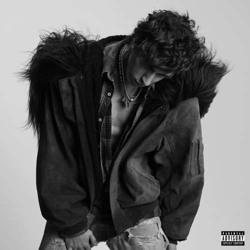 Stream Nate Sib | Listen to for us playlist online for free on SoundCloud