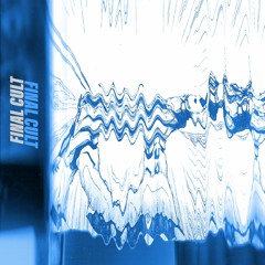 Wired Guardian