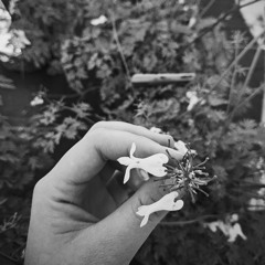 All things work together for good