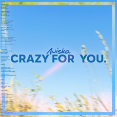 Anisko - Crazy For You