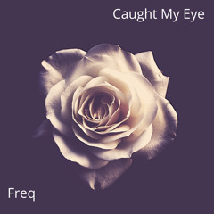 Caught My Eye - Freq