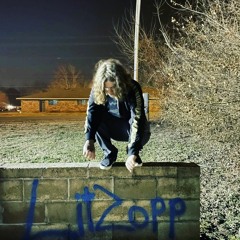 Loaded N my section