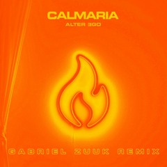 Alter Ego - Calmaria (Gabriel Zuuk Remix)