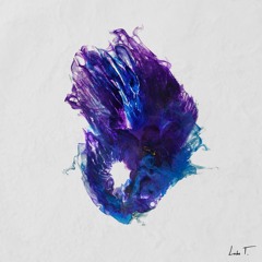 Teho - Five - 0 (Tonic Walter Remix) SNIPPET