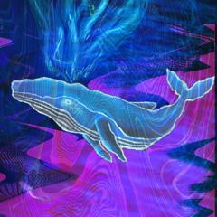 Cosmic Cetacean Funk