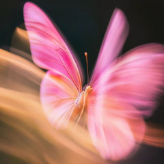 Narri prod. retrosvr