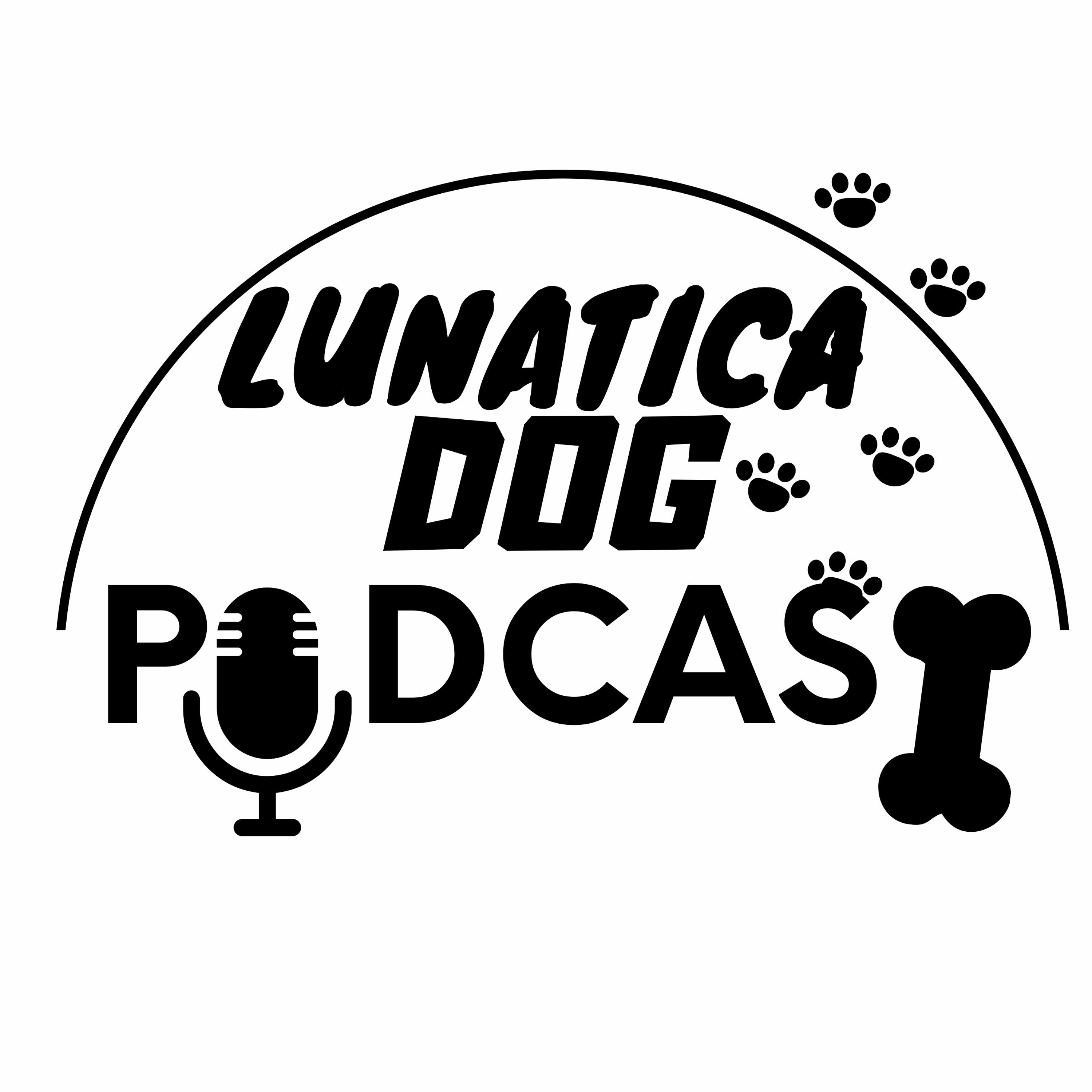 DogPodcast